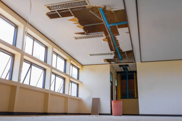 Best Residential water damage restoration  in Newaygo, MI