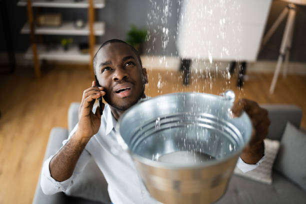 Best Carpet water damage restoration  in Newaygo, MI