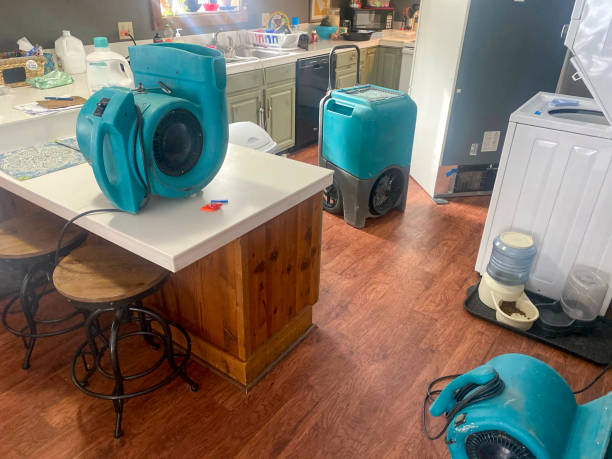 24/7 water damage repair in Newaygo, MI
