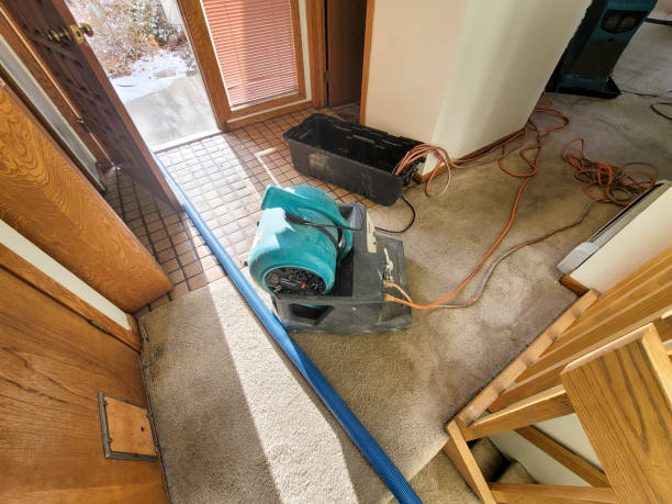 Best Professional water damage repair  in Newaygo, MI
