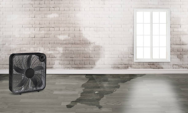 Best 24-hour water damage restoration  in Newaygo, MI
