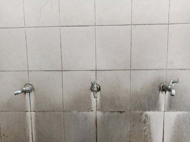 Best Residential water damage restoration  in Newaygo, MI