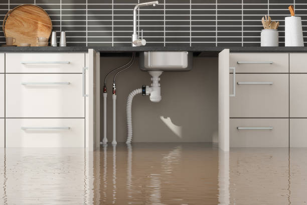 Best Water damage restoration near me  in Newaygo, MI