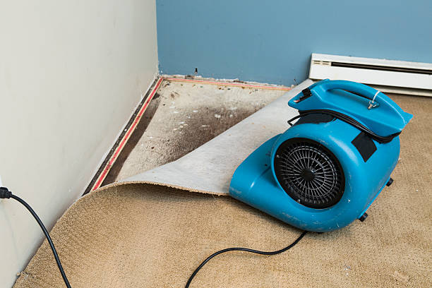 Best Flood damage cleanup  in Newaygo, MI
